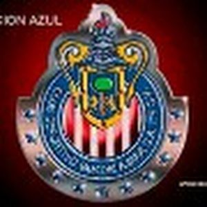 Meet your Posher, Felipe